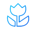 Color_icon